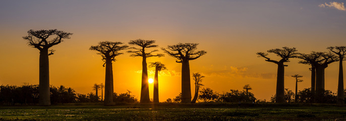madagaspan
